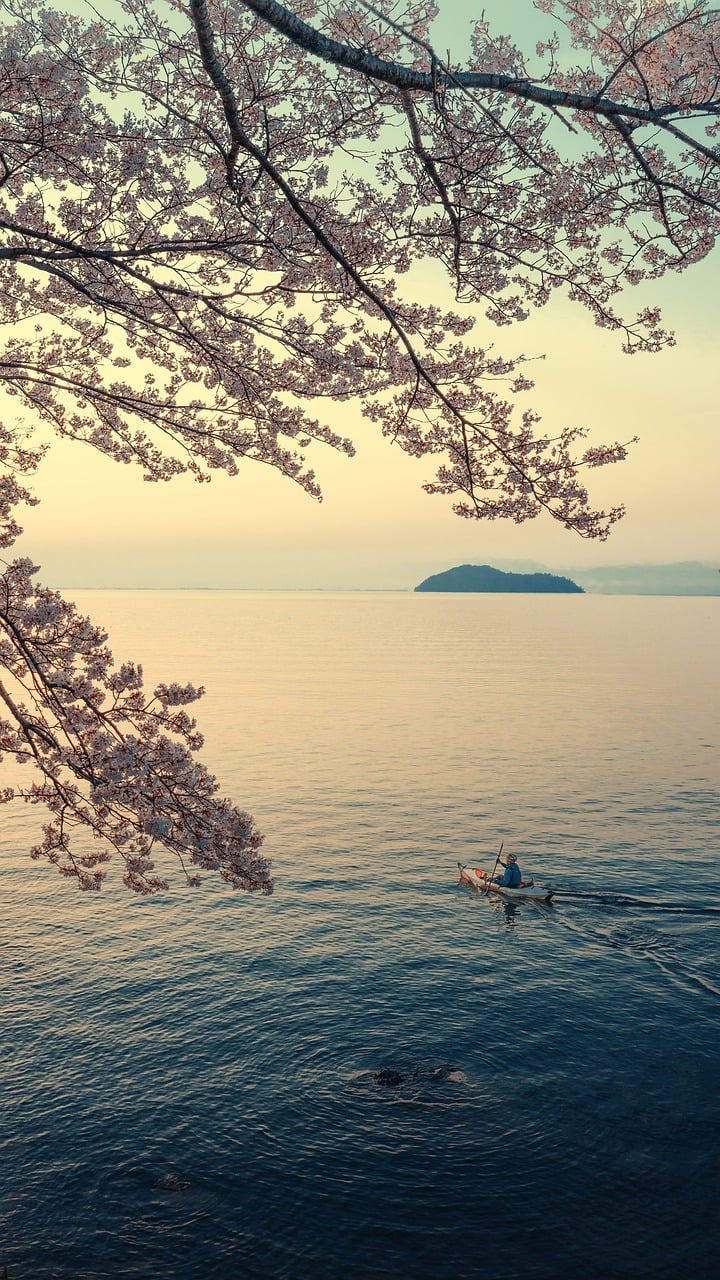 Presence, Gratitude & Joy